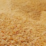 Tuz İlavesiz ve Acısız Sebzeli Bebek Tarhanası - 500g - Görsel 3